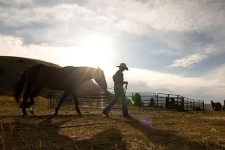 Discover the American Women Ranchers Transforming Modern Ranching