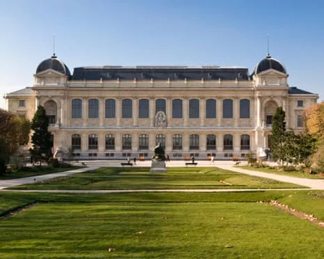 Priceless Golden Pieces Stolen in Bold Robbery at French National Institution